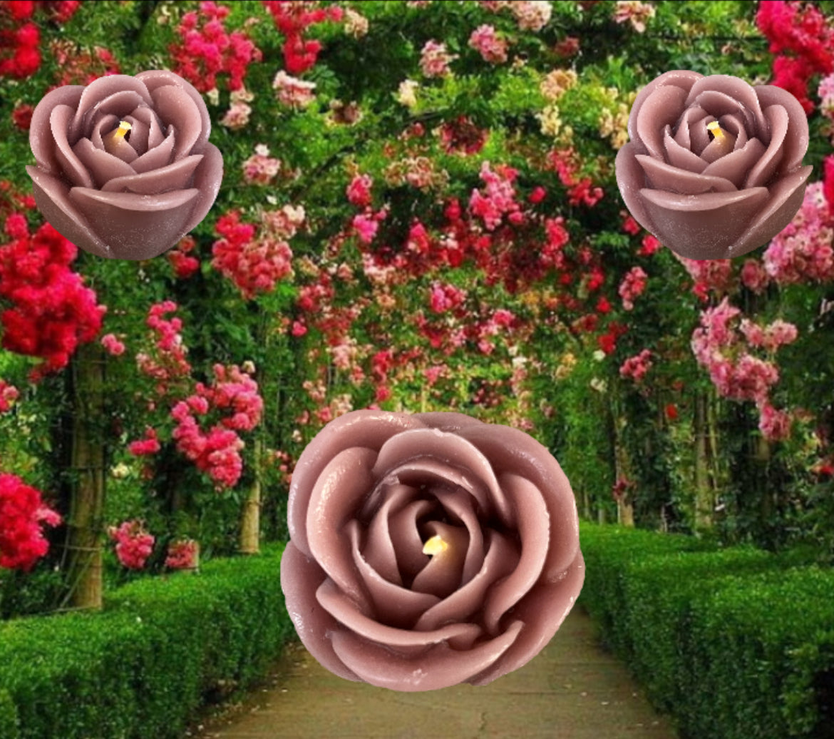 A COZY ROSE CANDLE